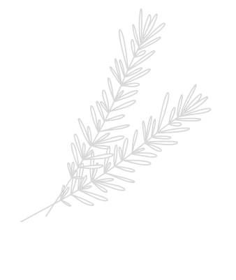 サステナビリティ