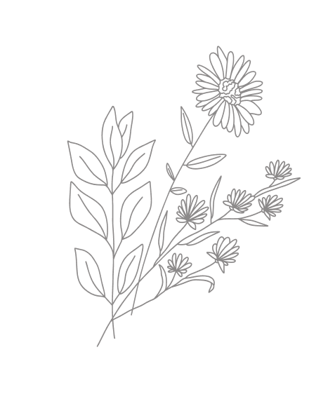 サステナビリティ