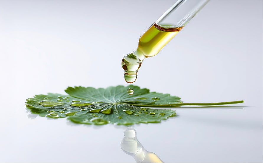 サステナビリティ