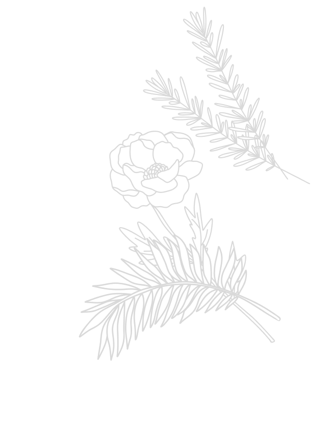 七つの海の支援内容