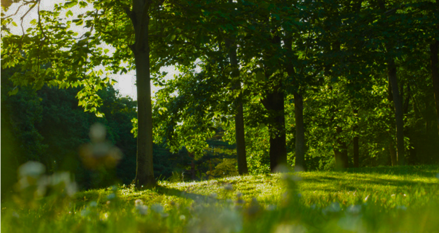 サステナビリティ