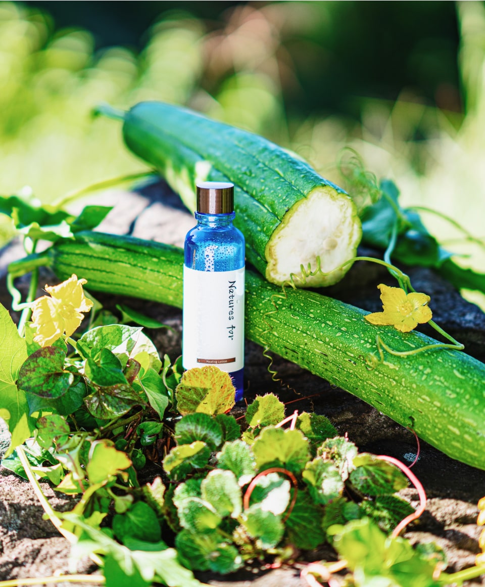 ネイチャーズ フォー